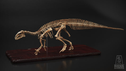Mantellisaurus atherfieldensis