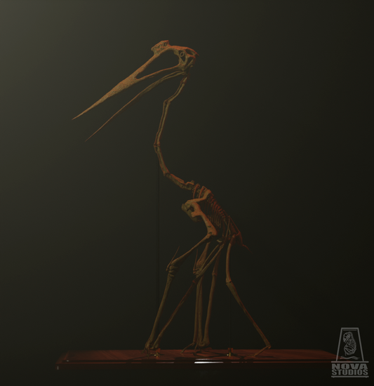 Quetzalcoatlus northropi