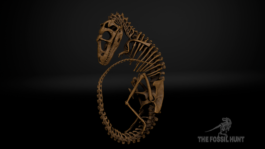 Tyrannosaurus rex Fetus