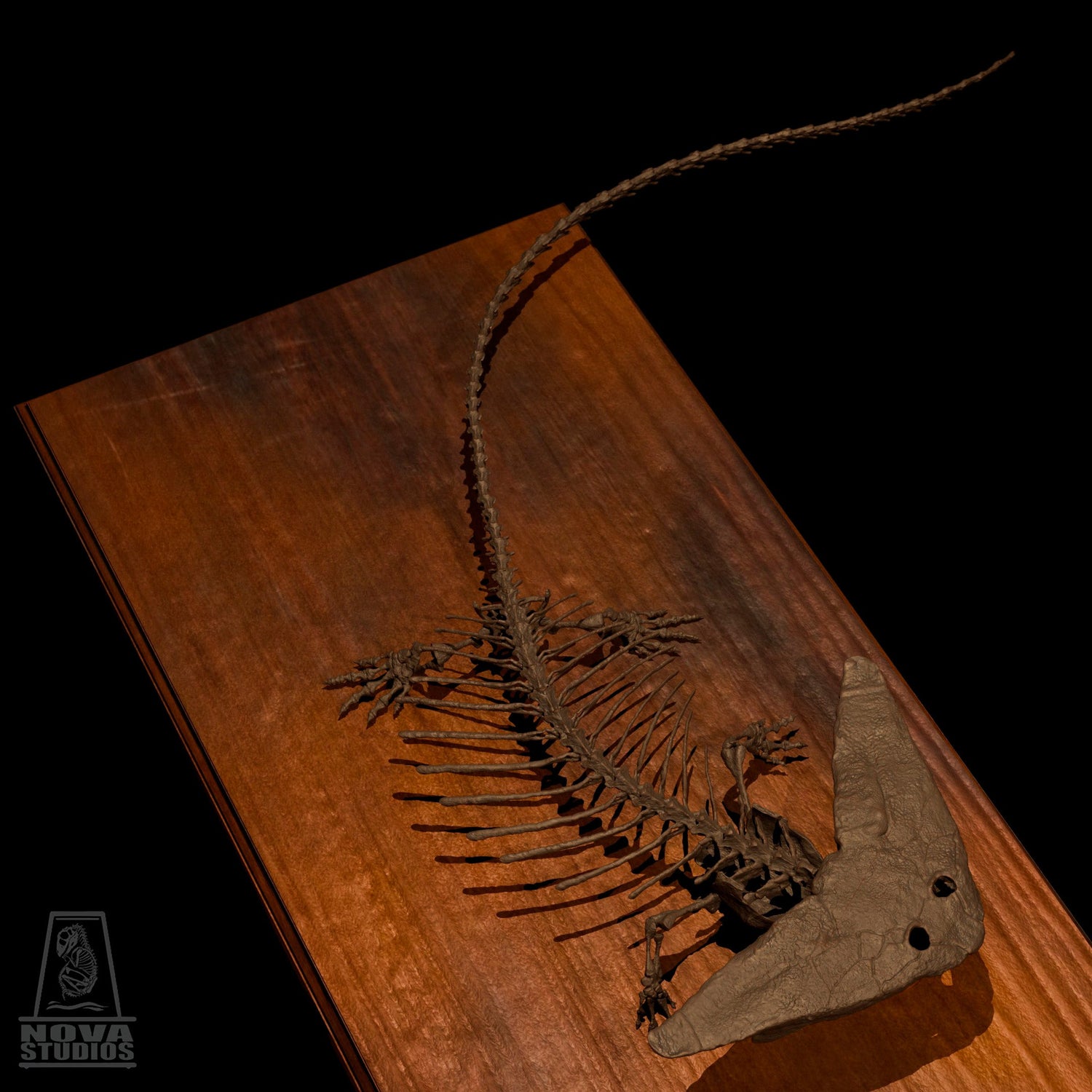 Prehistoric Amphibians