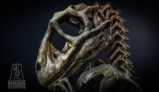 Deinonychus antirrhopus Fetus