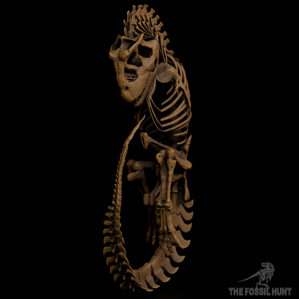 Carnotaurus sastrei Fetus