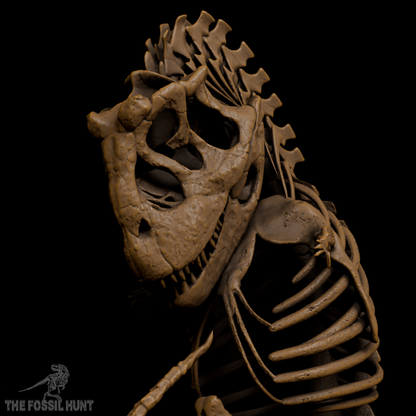 Carnotaurus sastrei Fetus