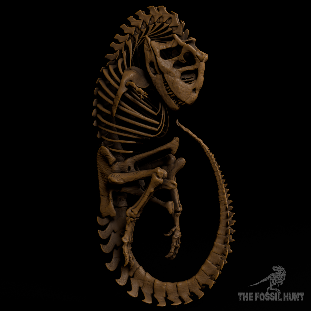 Carnotaurus sastrei Fetus