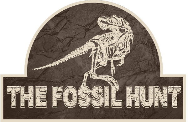 The Fossil Hunt
