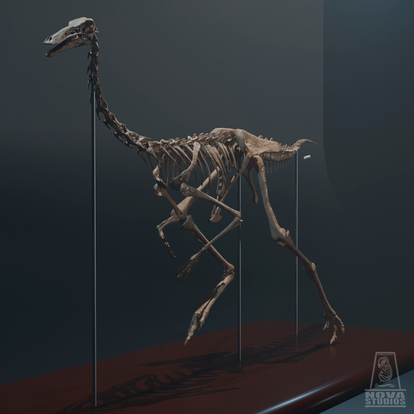 Gallimimus bullatus