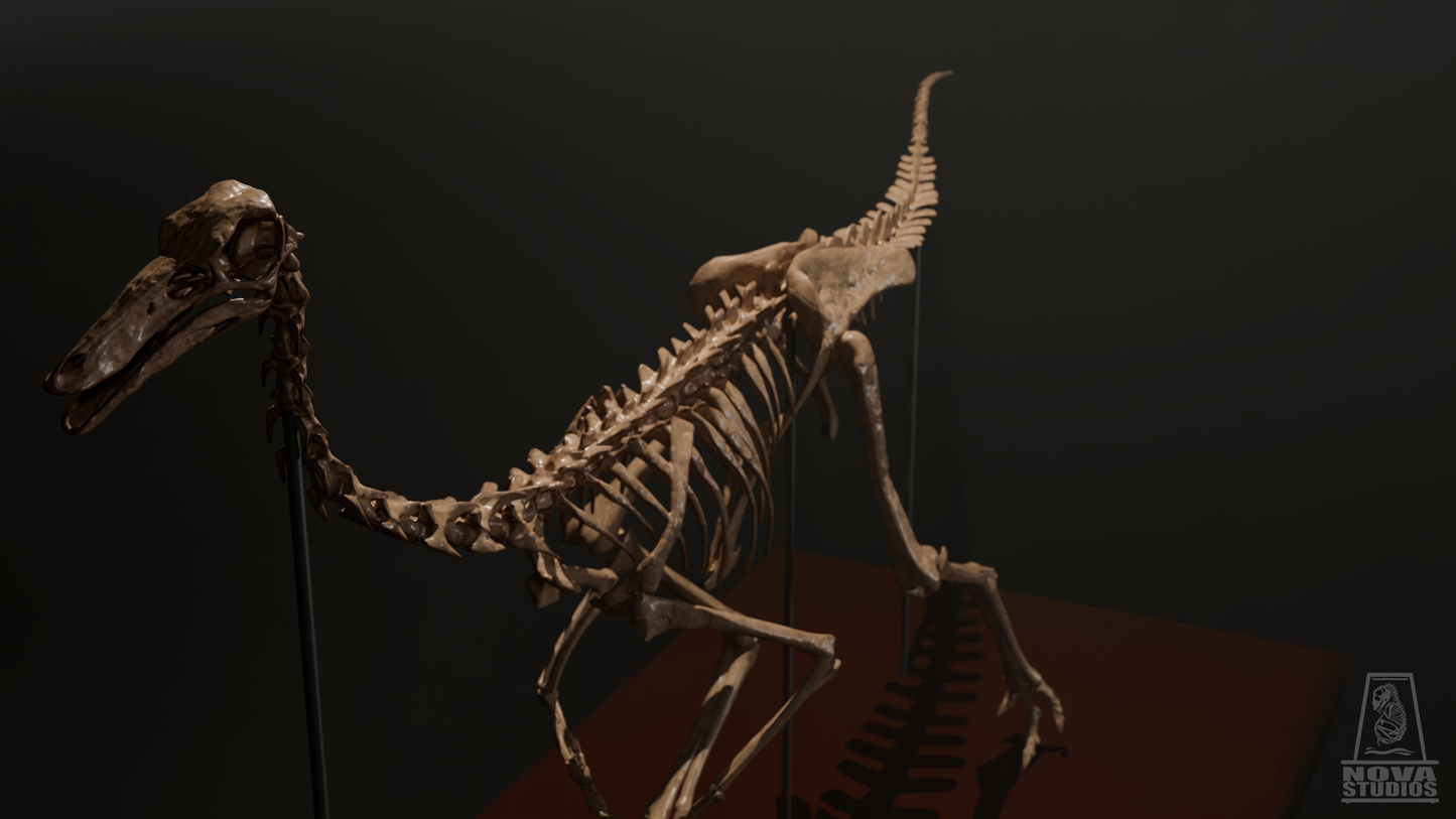 Gallimimus bullatus