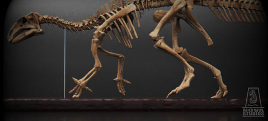 Mantellisaurus atherfieldensis