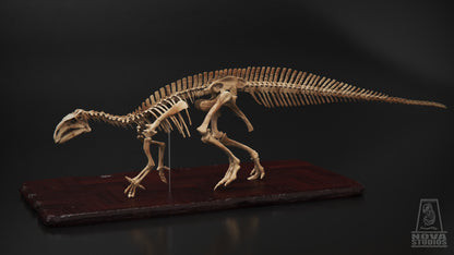 Mantellisaurus atherfieldensis