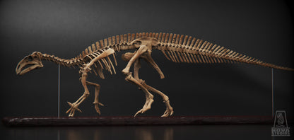 Mantellisaurus atherfieldensis