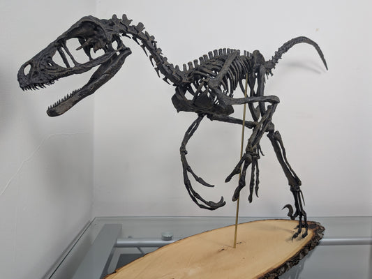 Bambiraptor feinbergi