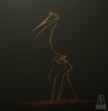 Quetzalcoatlus northropi