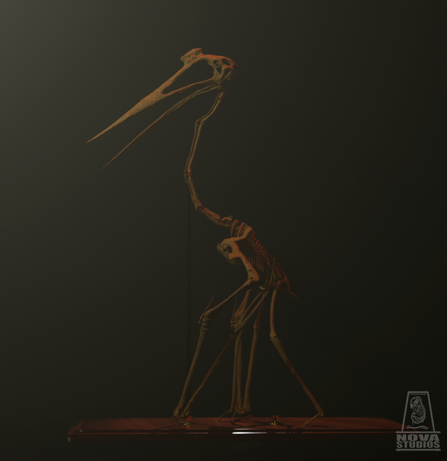 Quetzalcoatlus northropi