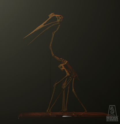 Quetzalcoatlus northropi