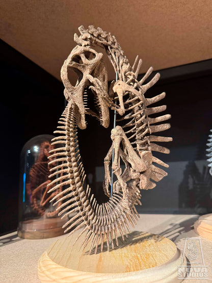 Spinosaurus aegyptiacus Fetus