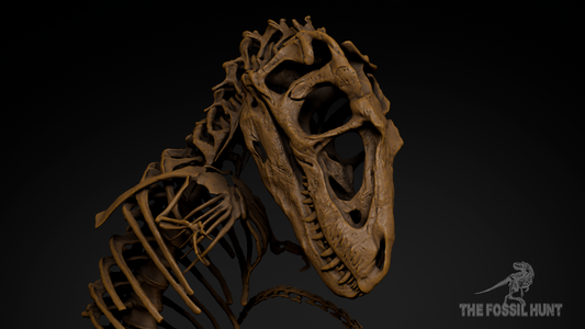 Tyrannosaurus rex Fetus