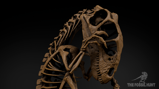 Utahraptor ostrommaysi Fetus