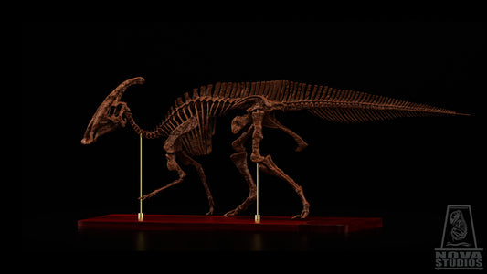 Parasaurolophus walkeri