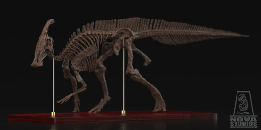 Parasaurolophus walkeri