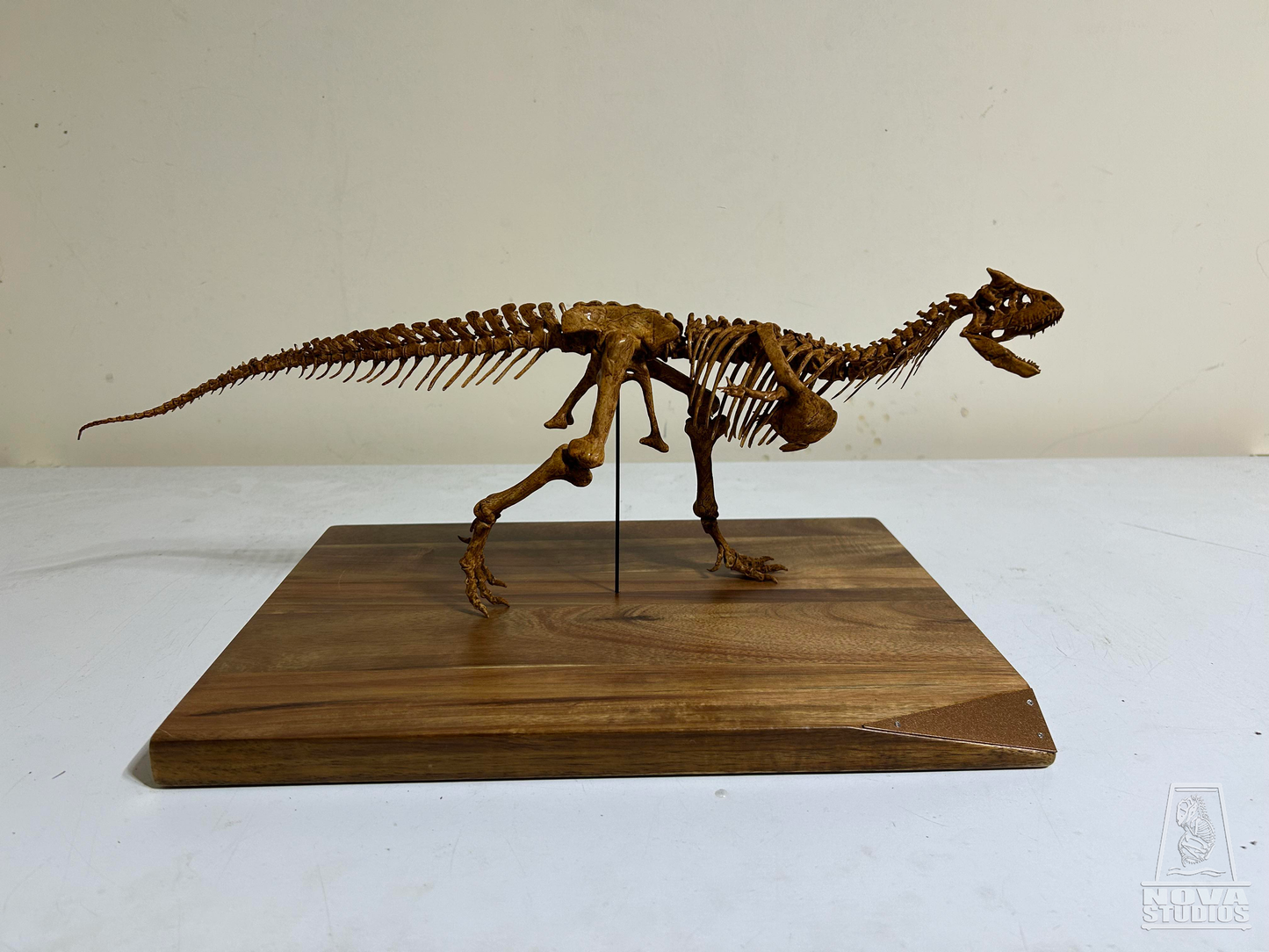 Carnotaurus sastrei