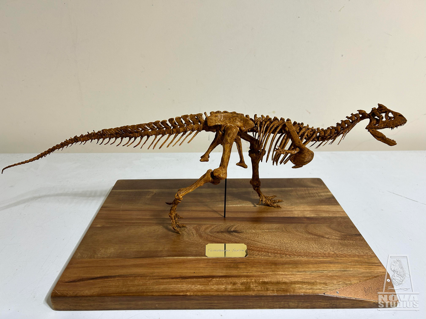Carnotaurus sastrei