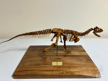 Carnotaurus sastrei